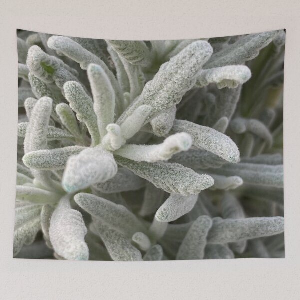 Item preview, Interesting fuzzy plant designed and sold by LifeSpice.