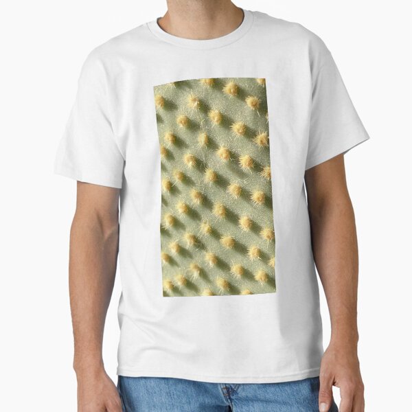 Aperçu de l'œuvre Cactus épineux créée et vendue par LifeSpice.