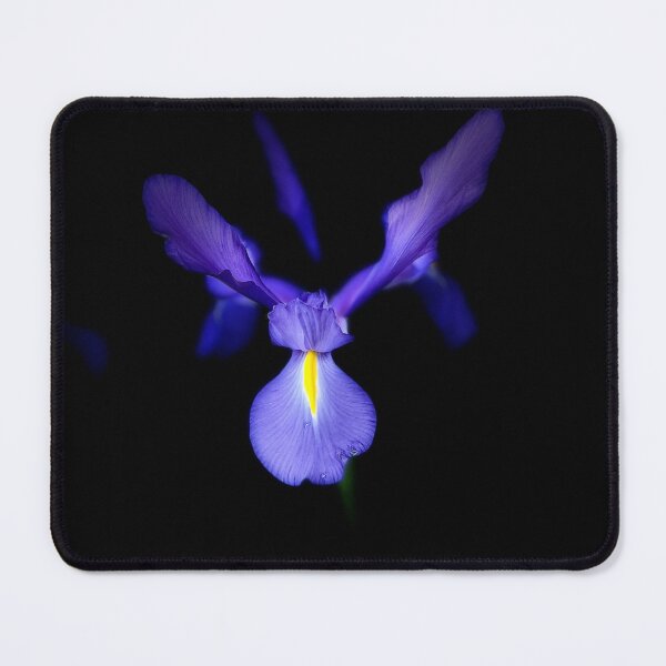 Item preview, Blue Magic Dutch Iris designed and sold by LeanneAllen.