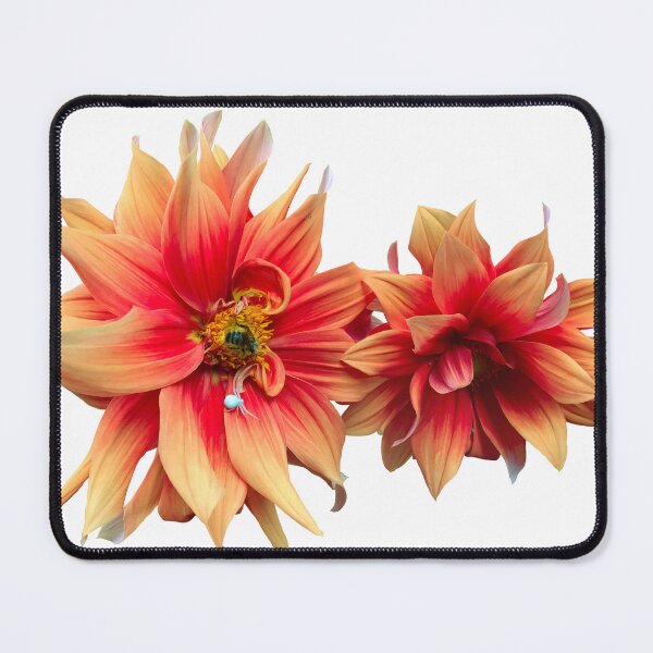 Item preview, Dahlia Euphoria designed and sold by Heidi Bennett.