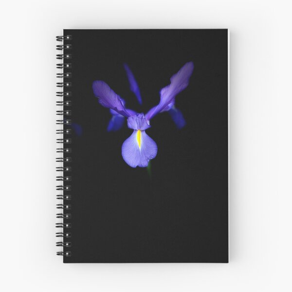 Artikelvorschau, Blue Magic Holländische Iris entworfen und verkauft von LeanneAllen.