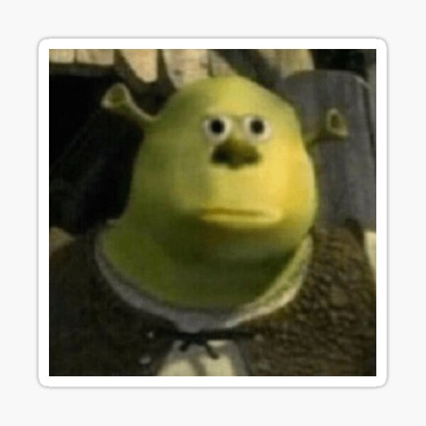 Face Shrek #shrek #shrekmeme #rizz, shrek face meme