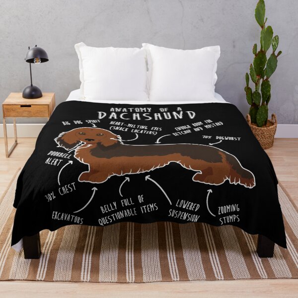 Item preview, Longhaired Sable Dachshund Dog Anatomy designed and sold by Clara Hollins.