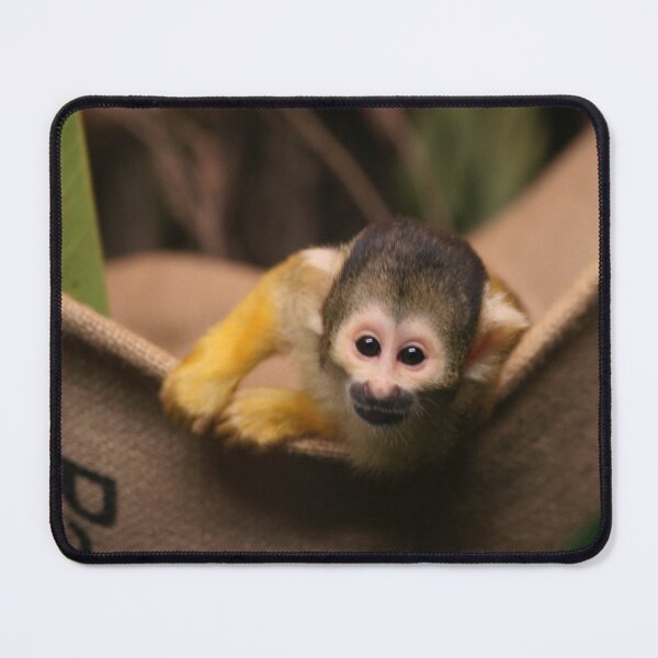 Item preview, "little rascal" designed and sold by rogersmith.
