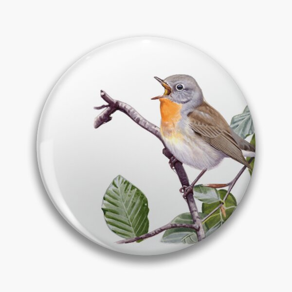 Item preview, Red-breasted Flycatcher designed and sold by HerrPr.