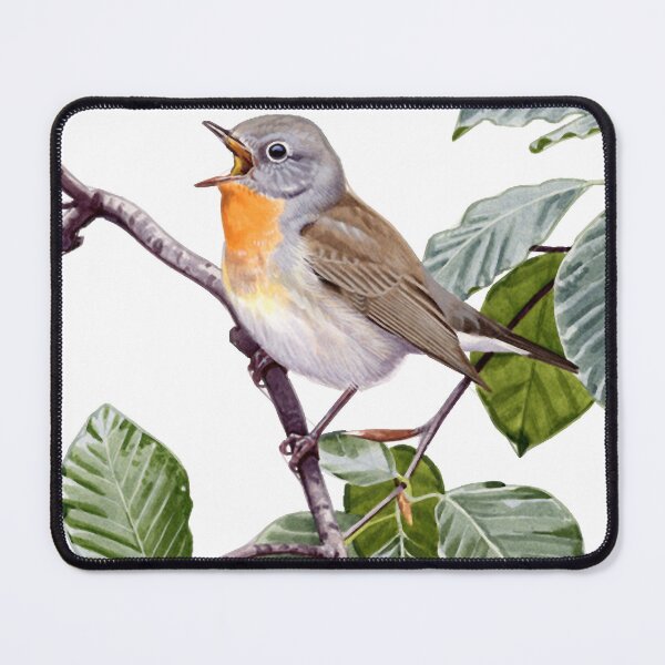 Item preview, Red-breasted Flycatcher designed and sold by HerrPr.