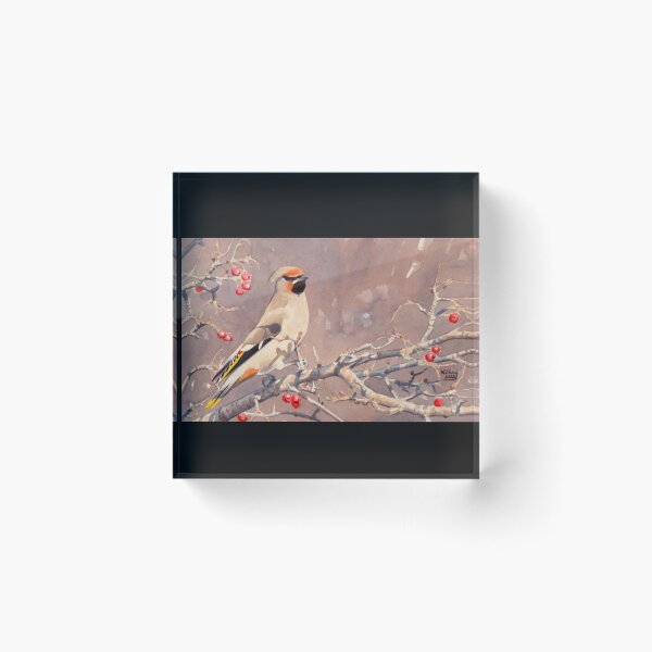 Item preview, Bohemian Waxwing designed and sold by SnkeSche.