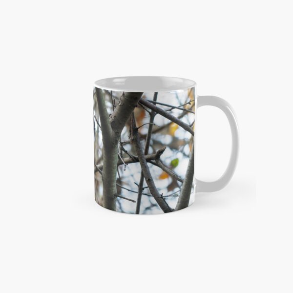 Item preview, Black-capped Chickadee Perched In A Tree designed and sold by BackyardBirder.