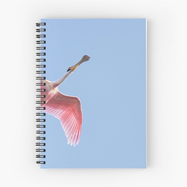 Item preview, Arrow in the Blue Sky designed and sold by Puttaswamy Ravishankar.