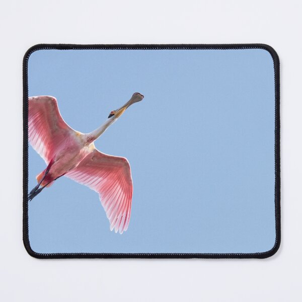 Item preview, Arrow in the Blue Sky designed and sold by Puttaswamy Ravishankar.