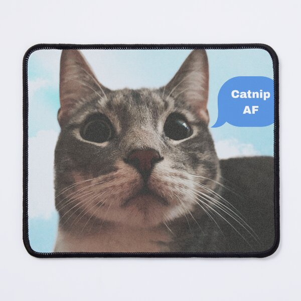 Item preview, High cat designed and sold by Jacques Shop.