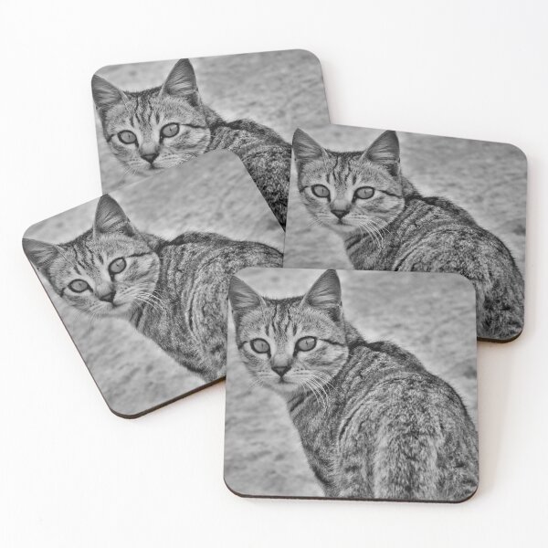 Item preview, Black & White Cute Cat looking back designed and sold by CCC2021.