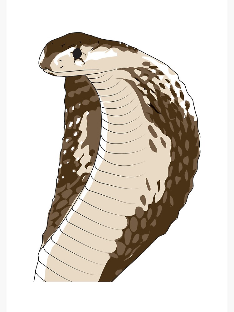 KING COBRA POSTER, Venomous Snake, Viper Print, Cobra Hissing Drawing,  Serpent Illustration, Reptile Lover Gift, Snake Lover, Art for Him - Etsy  Israel