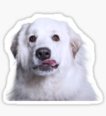 Great Pyr Rescue Sticker