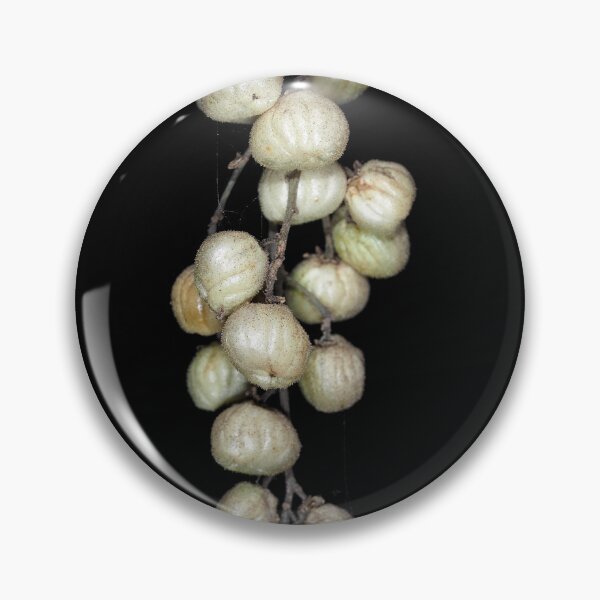 Item preview, Pacific poison oak berries designed and sold by SDym Photography.