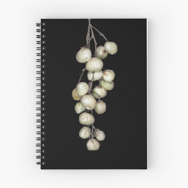 Item preview, Pacific poison oak berries designed and sold by SDym Photography.