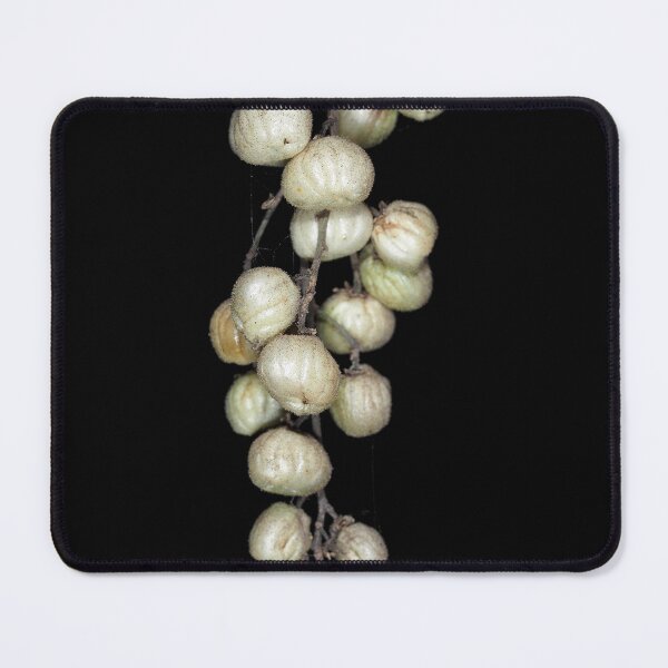 Item preview, Pacific poison oak berries designed and sold by SDym Photography.