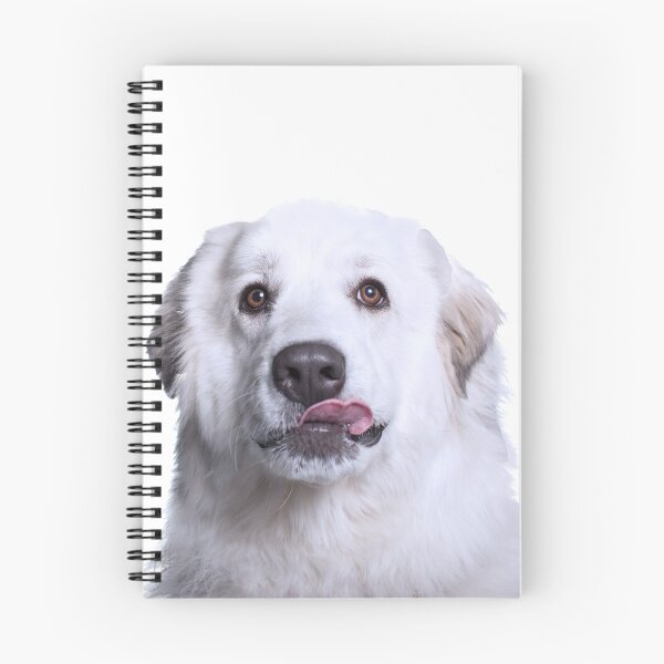 Item preview, Great Pyr Rescue designed and sold by Sarah Matula Photography.
