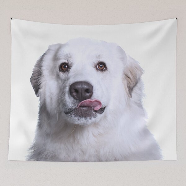 Item preview, Great Pyr Rescue designed and sold by Sarah Matula Photography.