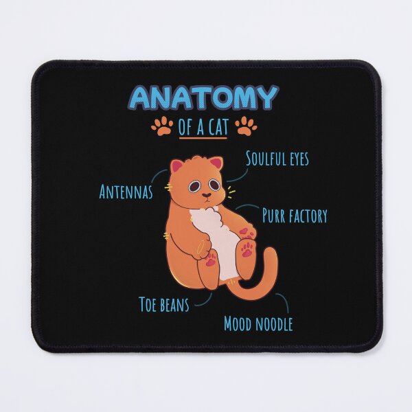 Item preview, Anatomy of a cat designed and sold by Mossysplashart.