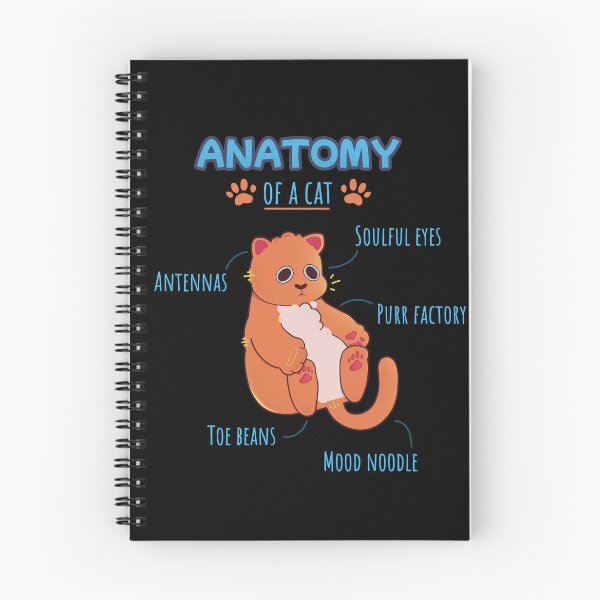 Item preview, Anatomy of a cat designed and sold by Mossysplashart.