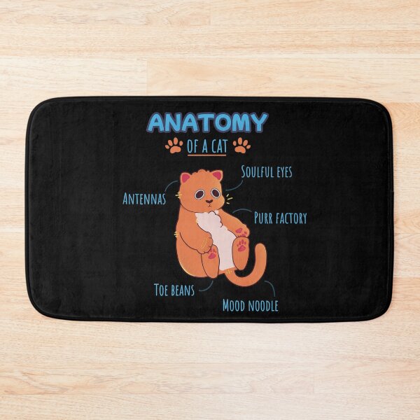 Item preview, Anatomy of a cat designed and sold by Mossysplashart.