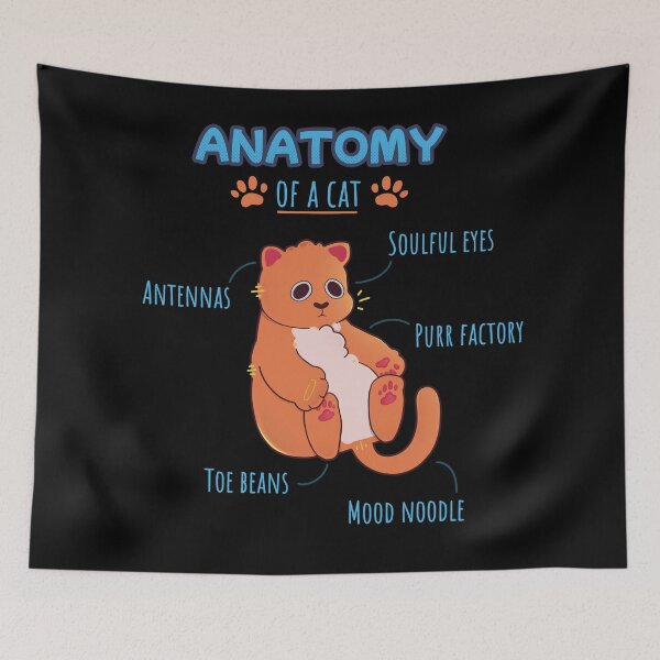 Item preview, Anatomy of a cat designed and sold by Mossysplashart.