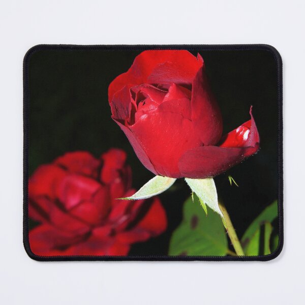 Item preview, two roses designed and sold by bojkE.