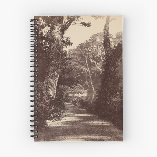 Item preview, The Upper Lake, Penllergare Valley Woods, c. 1852 (Remastered) designed and sold by ScenesOfThePast.
