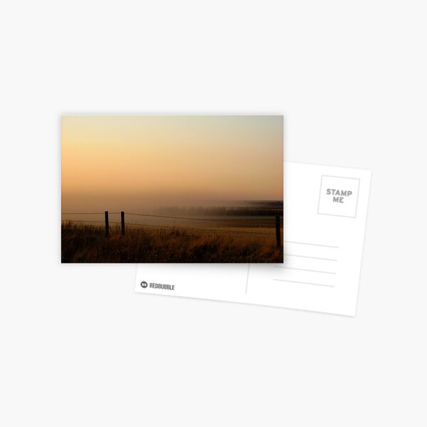 Sunset Mist Postcard