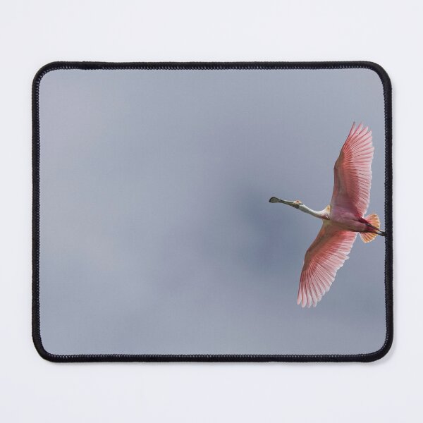 Item preview, Roseate spoonbill designed and sold by Puttaswamy Ravishankar.