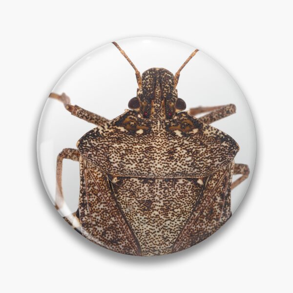 Item preview, Brown marmorated stink bug designed and sold by SDym Photography.