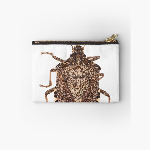 Item preview, Brown marmorated stink bug designed and sold by SDym Photography.