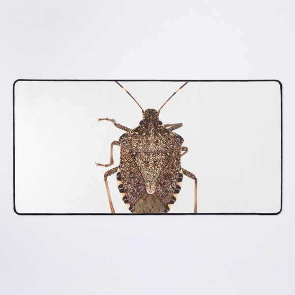 Item preview, Brown marmorated stink bug designed and sold by SDym Photography.