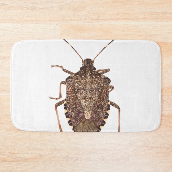 Item preview, Brown marmorated stink bug designed and sold by SDym Photography.