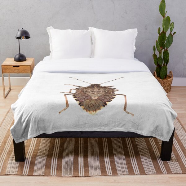 Item preview, Brown marmorated stink bug designed and sold by SDym Photography.