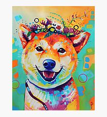 Happy Shiba Photographic Print
