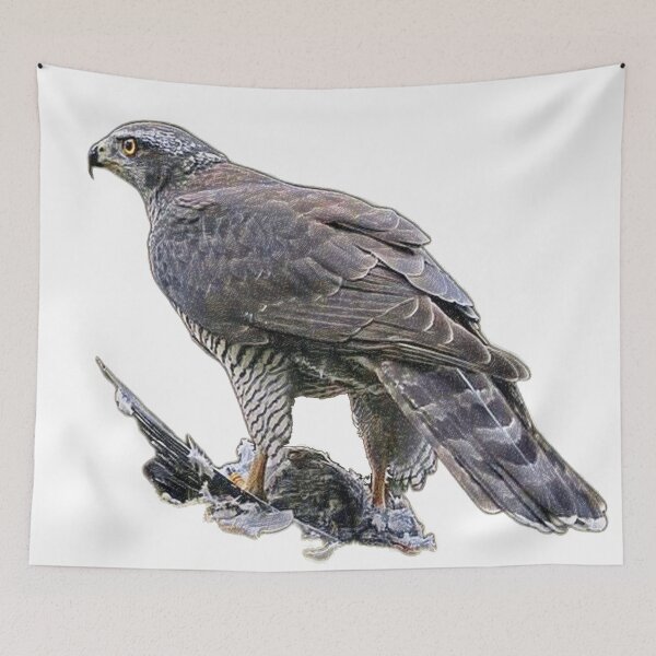 Item preview, Goshawk with caught prey designed and sold by slikar.
