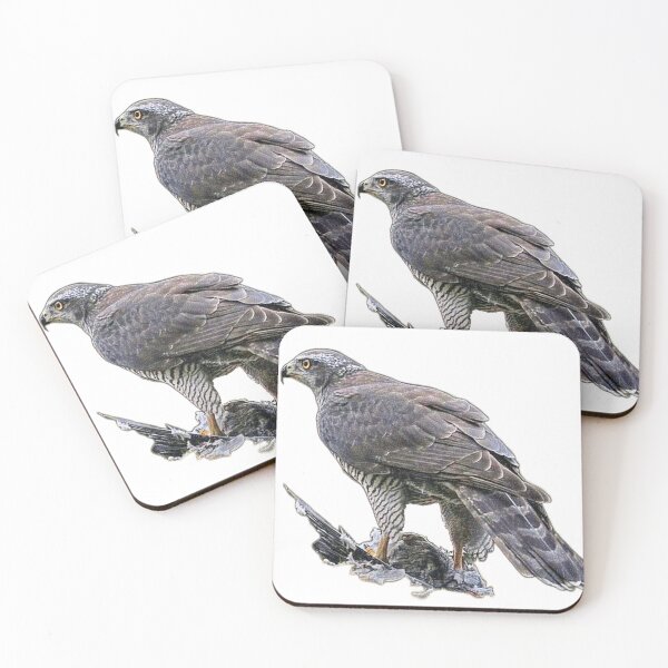 Item preview, Goshawk with caught prey designed and sold by slikar.