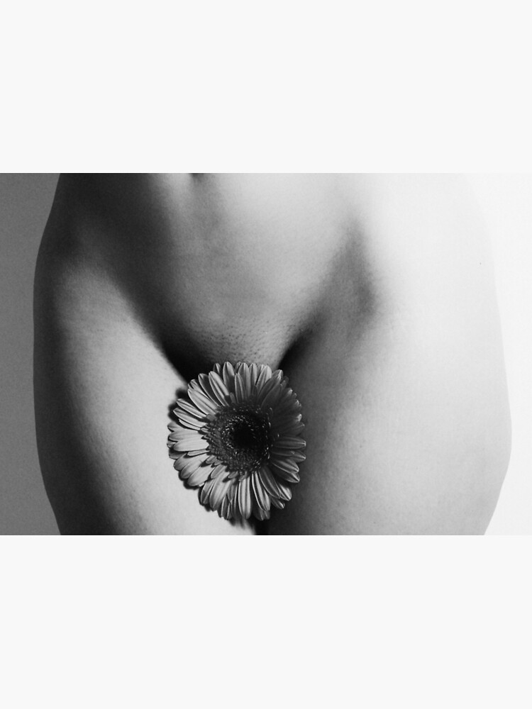 vagina flower by Falko-Follert