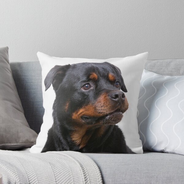 Artikelvorschau, Rottweiler Welpe entworfen und verkauft von ManwithaCamera.