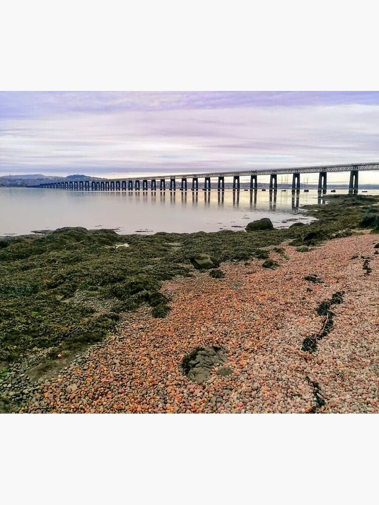 "Tay Bridge from Wormit, Fife, Scotland" Sticker for Sale by Tessabel