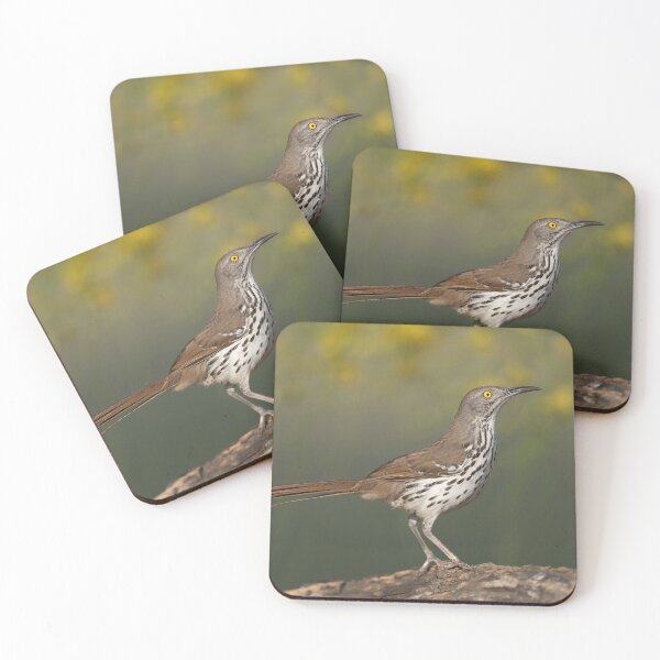 Item preview, Portrait of a Long-billed thrasher designed and sold by Puttaswamy Ravishankar.