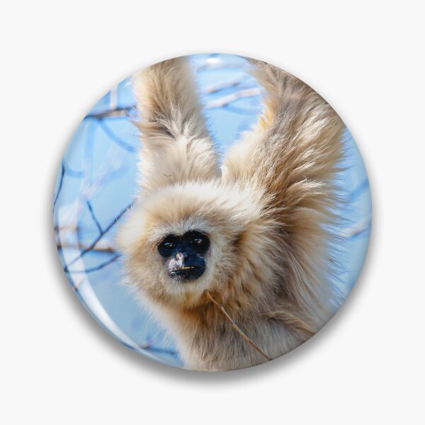Item preview, Just Hanging around Gibbon designed and sold by Dalyndigital Photography.