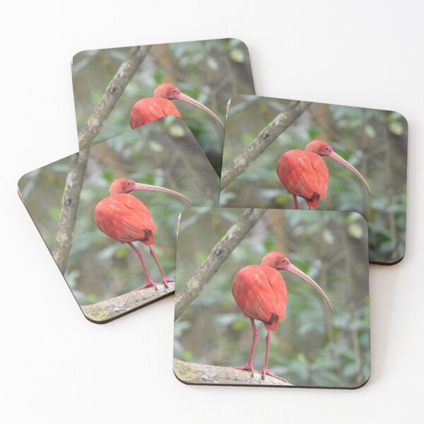 Item preview, Scarlet Ibis Bird designed and sold by NandaniBridglal.