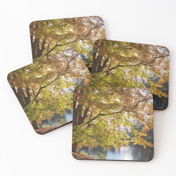 Item preview, Discolored trees in the ramparts in autumn, Bremen, Germany, Europe designed and sold by Torsten  Krüger.
