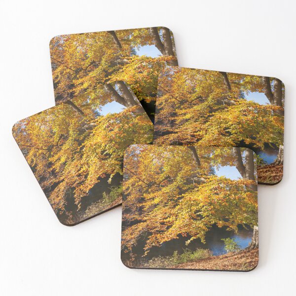 Item preview, Discolored trees in the ramparts in autumn, Bremen, Germany, Europe designed and sold by Torsten  Krüger.