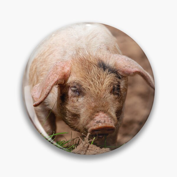 Item preview, Cute Piglet designed and sold by Dalyndigital Photography.