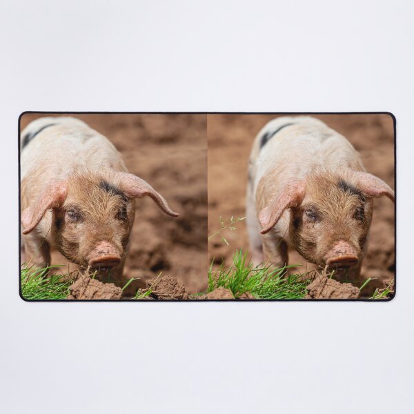 Item preview, Cute Piglet designed and sold by Dalyndigital Photography.