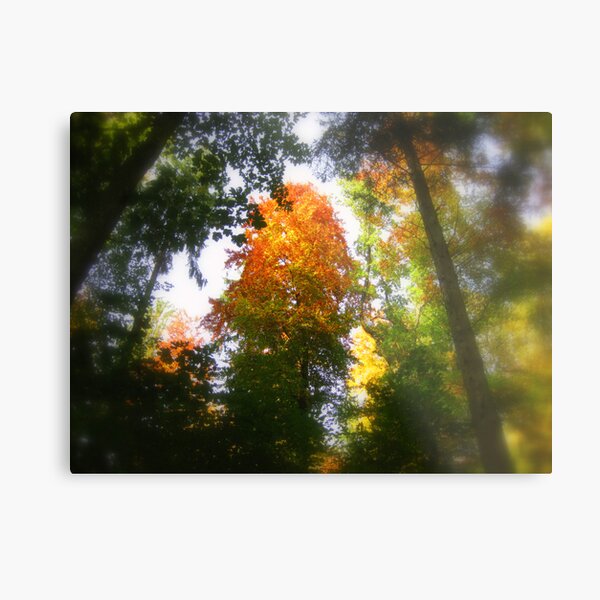 Autumn Dream Metal Print